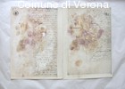 Fotografia di manoscritto contenente dichiarazioni di esuli siciliani e nap