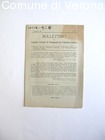 Bollettino del Comitato Centrale di Propaganda per l'Adriatico italiano