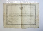 Documento di congedo militare di Bortolo Marcato