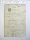 Copia del documento del Congedo assoluto per Enrico Nicolis dopo le battagl
