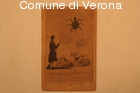 Caricatura di Radetzky trinceratosi nelle fortezze di Mantova e Verona (184
