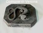 Lucertola