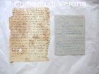 Lettera autografa di Carlo Montanari indirizzata a Carlo Scopoli, Padova