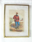 G.le Cosenz