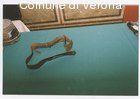 Parte di cintura